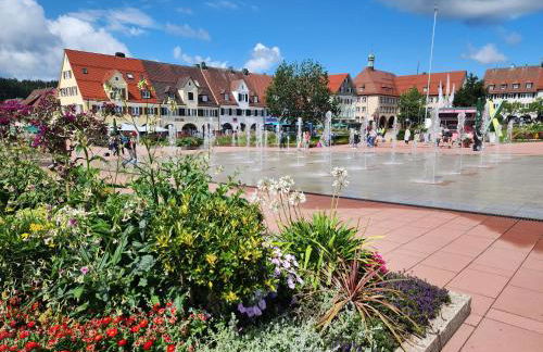 Schwarzwald-Ferienwohnungen Begert - Foto 53
