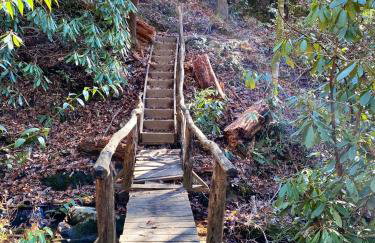 Bear's Mountaintop Home with Gorgeous Lake Views chalet - Foto 42