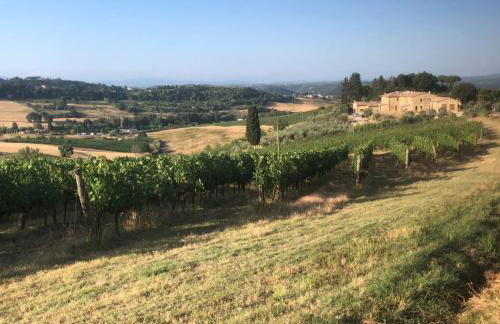 Vittoria Chianti Vacations - Foto 43