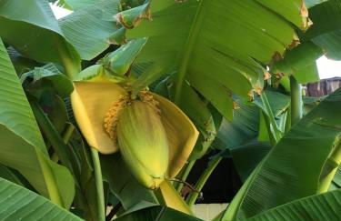 Ferienwohnung Dettum - Foto 74