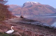 Loch Linnhe View house 17, Fort William - Foto 4
