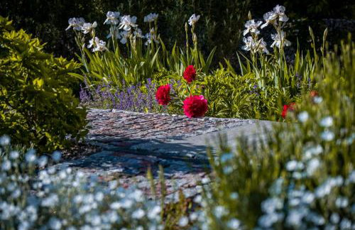 Cicha Zdrój - Foto 34