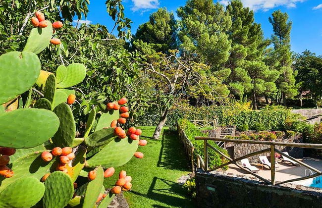 Belvilla by OYO Montefiore - Foto 17