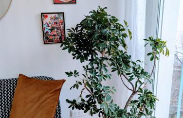 L'appart le 19 , F3 proche centre vue cathédrale, 2 chambres - Foto 47