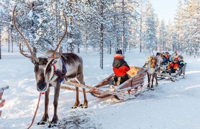 Snowmobile Ride + Reindeer & Husky Sleigh Ride - Photo 6