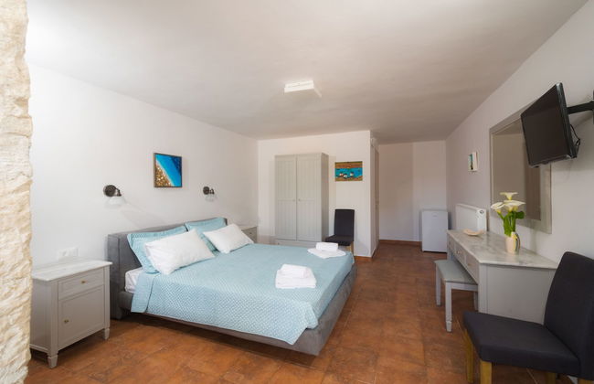 Tierra Olivo - Foto 16