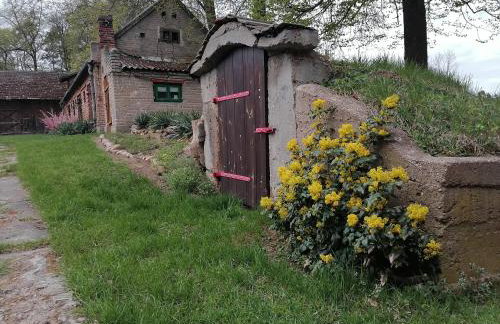 Domek na wsi Wiejsko Czarodziejsko - Agroturystyka Podlasie - Foto 72