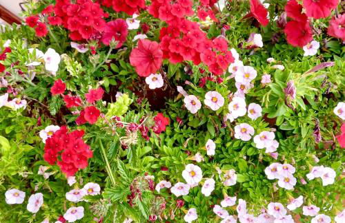 La casetta di Mizar - Foto 3