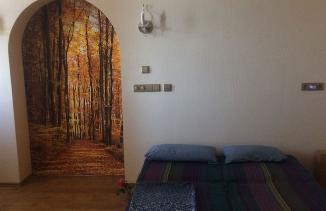 1st Man In Space Apartments - Foto 65