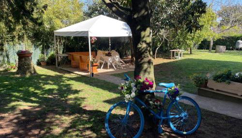 Appartamento in Villa con giardino vicino al mare - Foto 3, Garden