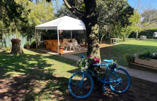 Appartamento in Villa con giardino vicino al mare - Foto 3