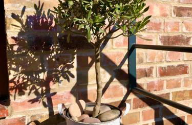 Schwalbenwohnung - Foto 20