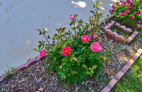 Aspen Home - Foto 27