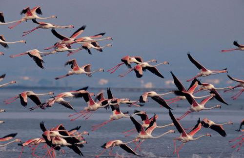 Villa Manoli - Foto 21