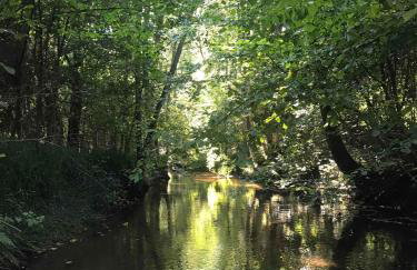 Sercem i Kopytem - Foto 27