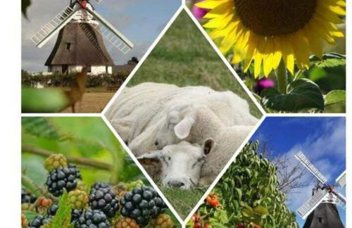 FeWo Nero Comfortable holiday residence - Foto 21