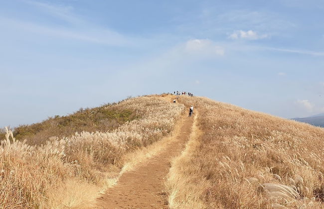 Jeju Ollero - Foto 59