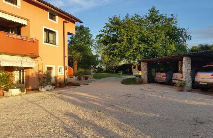 Apartments Davor - Photo 17