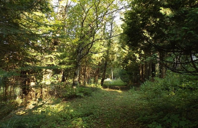 Le Domaine de l'Étang - Photo 12