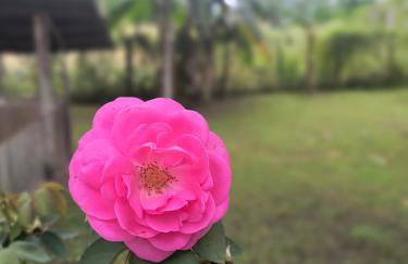 Chácara Celebrare - Photo 8