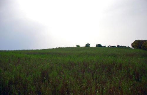 Villa Cipollazzo - Foto 35