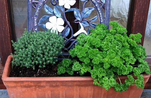 Tranquil Cottage in Normandy - Foto 33