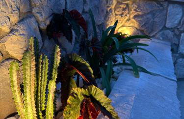 Haris Suites - Photo 15