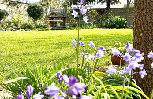 5 Bed in Seaview oc-n33058 - Photo 28