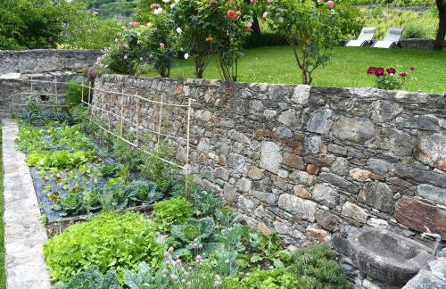 La Rosa al Roseto del Drago - Foto 22