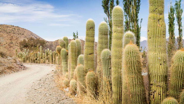 Excursión a Cachi - Foto 5