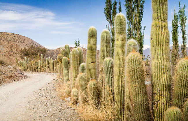 Excursión a Cachi - Foto 5