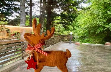 Chalet Leonard House in the wood - Foto 14