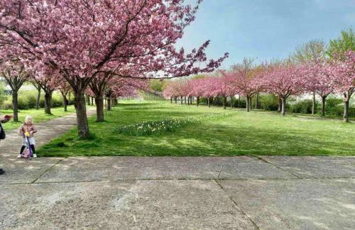 Le Domaine Réservé , parking et écrin de verdure - Foto 29