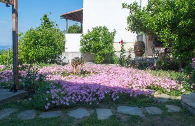 Mikros Paradisos Pelion - Foto 42