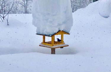 Ferienhaus Ursula - Foto 20