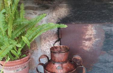 Casa do Cuco, Ribeira Sacra - Foto 17