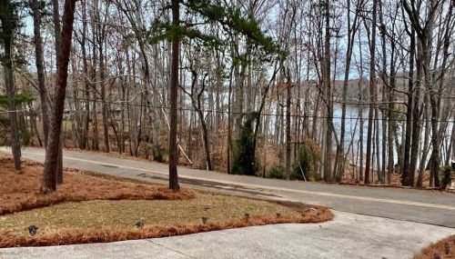 Lake Lanier House 1 - Foto 3