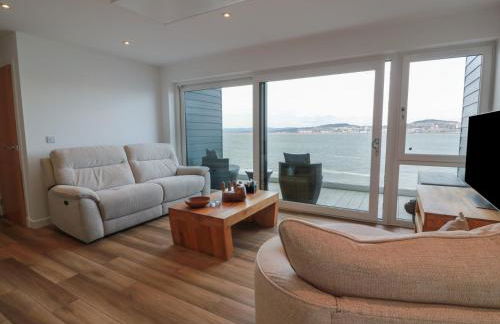 Lazy Bulldog - Foto 4