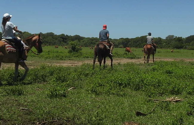 Paseo a caballo por la estancia San Rafael - Foto 1
