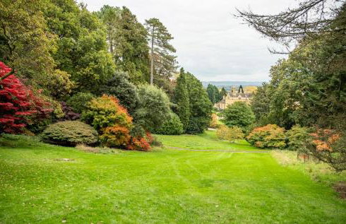 Little Tithe - Photo 26