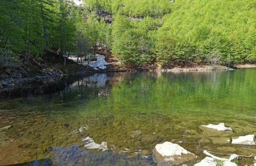 Residence le Polle - Foto 75