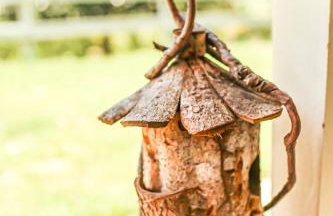 Chalés São João - a 500m da Cachoeira de Bom Jardim - com piscina - Foto 24