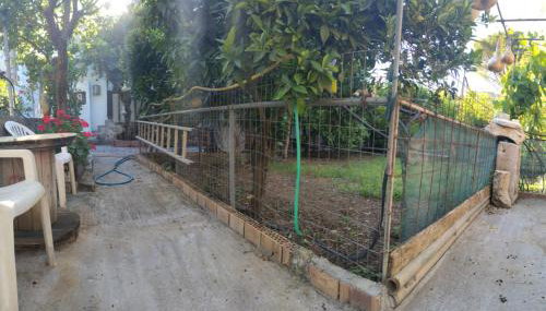 Kitharida garden - Foto 5, Garden