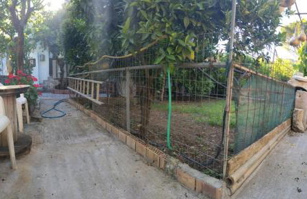 Kitharida garden - Foto 5