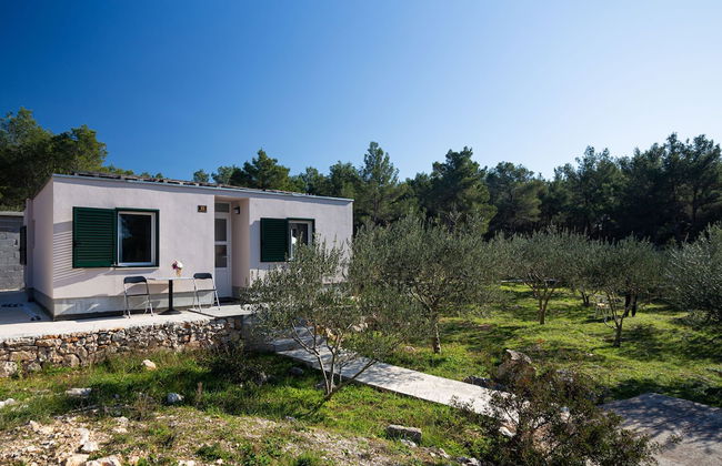 Olive Eden - Foto 49