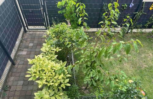 Charmantes 2-Etagen Häuschen- Köln-Phantasialand - Foto 38