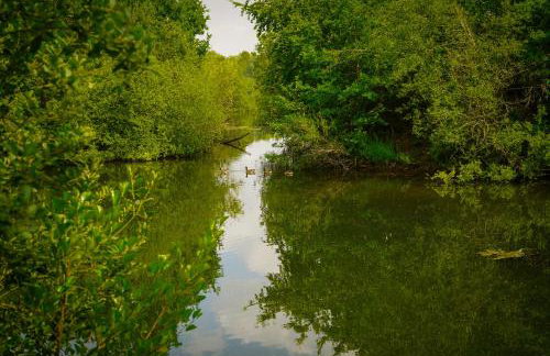 The Courtyard at Lodge Farm - Photo 24