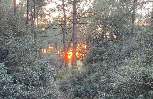 La Cachette d Oona, Grand gîte nature et familles - Foto 18