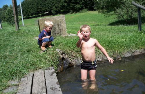 Blockhaus Hedwig - Photo 45