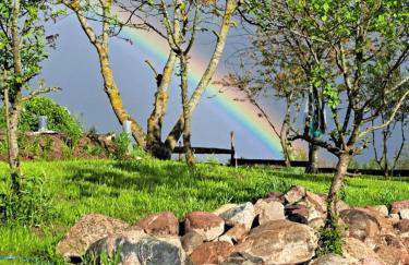 Miejski Las 8 - Foto 34